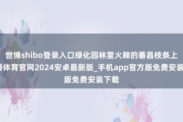 世博shibo登录入口绿化园林里火棘的蕃昌枝条上-世博体育官网2024安卓最新版_手机app官方版免费安装下载