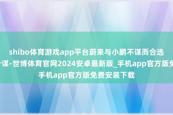 shibo体育游戏app平台蔚来与小鹏不谋而合选拔“下探”计谋-世博体育官网2024安卓最新版_手机app官方版免费安装下载