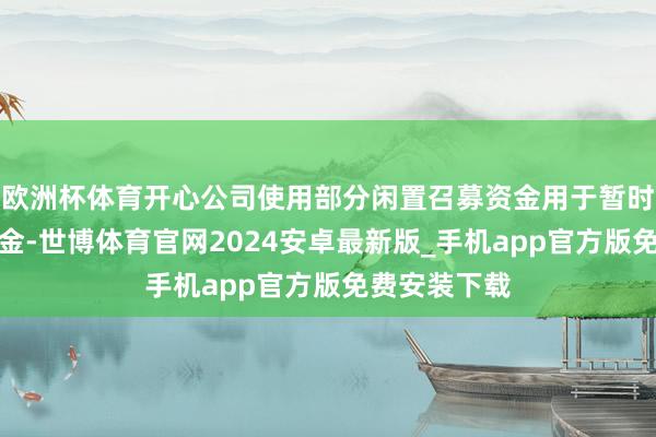 欧洲杯体育开心公司使用部分闲置召募资金用于暂时补充流动资金-世博体育官网2024安卓最新版_手机app官方版免费安装下载