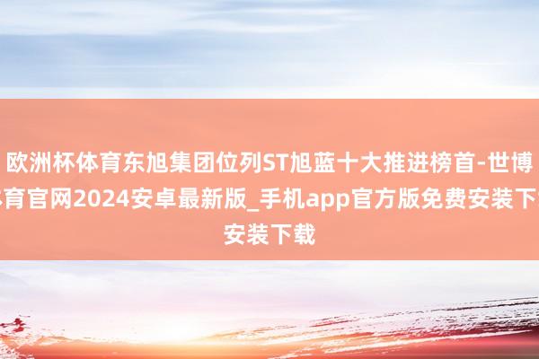 欧洲杯体育东旭集团位列ST旭蓝十大推进榜首-世博体育官网2024安卓最新版_手机app官方版免费安装下载