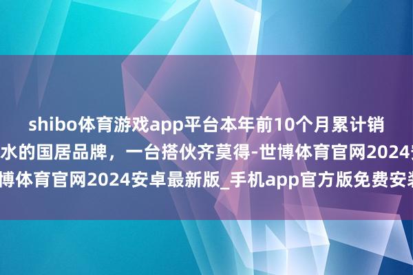 shibo体育游戏app平台本年前10个月累计销量最佳的20款新车，一水的国居品牌，一台搭伙齐莫得-世博体育官网2024安卓最新版_手机app官方版免费安装下载