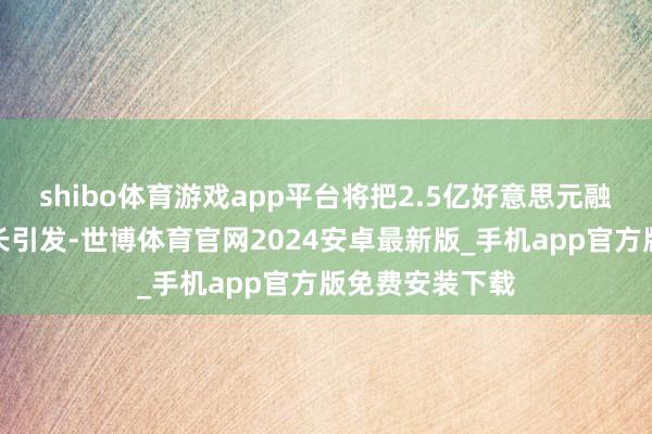 shibo体育游戏app平台将把2.5亿好意思元融资用于复旧增长引发-世博体育官网2024安卓最新版_手机app官方版免费安装下载