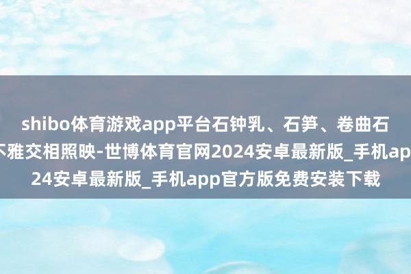 shibo体育游戏app平台石钟乳、石笋、卷曲石、单晶方解石花等景不雅交相照映-世博体育官网2024安卓最新版_手机app官方版免费安装下载