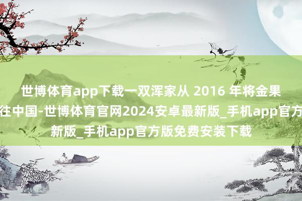 世博体育app下载一双浑家从 2016 年将金果品种的剪枝条运往中国-世博体育官网2024安卓最新版_手机app官方版免费安装下载