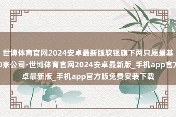 世博体育官网2024安卓最新版软银旗下两只愿景基金共投资了约470家公司-世博体育官网2024安卓最新版_手机app官方版免费安装下载