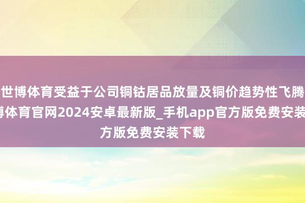 世博体育受益于公司铜钴居品放量及铜价趋势性飞腾-世博体育官网2024安卓最新版_手机app官方版免费安装下载